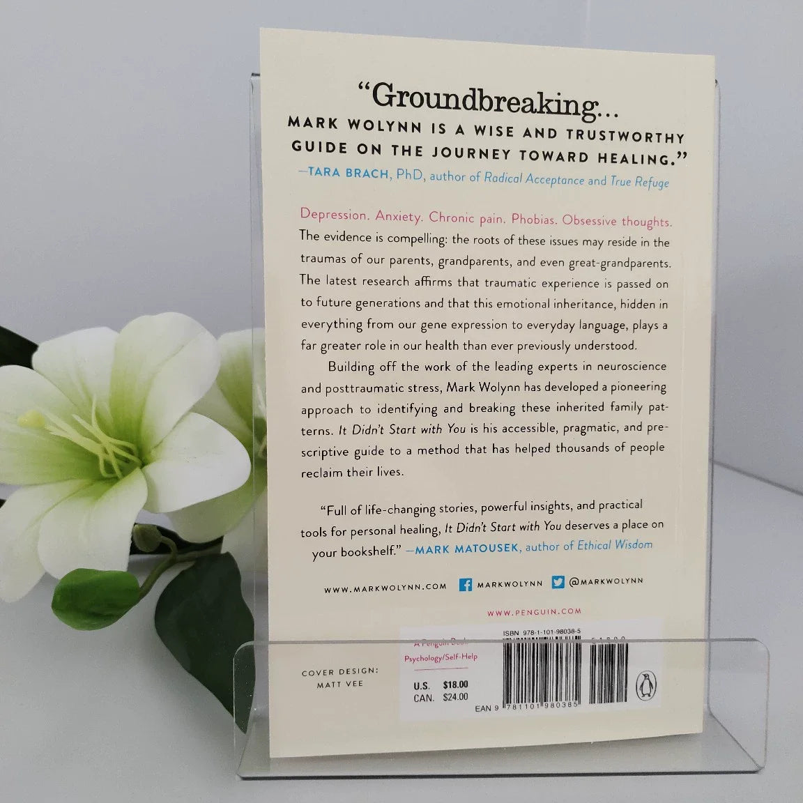 It Didn't Start with You By Mark Wolynn How Inherited Family Trauma Shapes Who We Are and How To End The Cycle English Book
