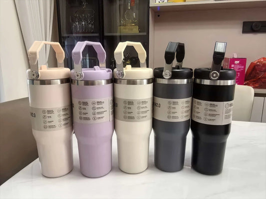 Stanley 30oz Insulated Water Bottle
